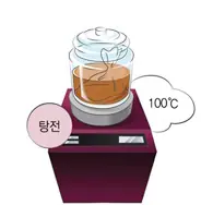 로아탕과 안심한약